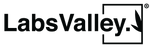 LabsValleySAPI